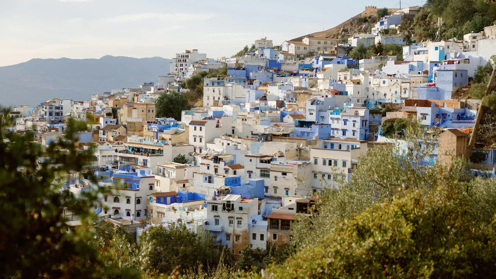 Tamazight vertaler — beëdigde en zakelijke Tamazight vertaling